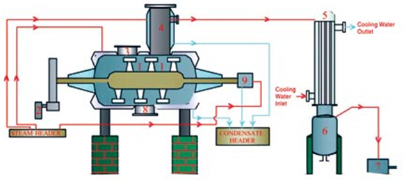 Rotary vacuum dryer price