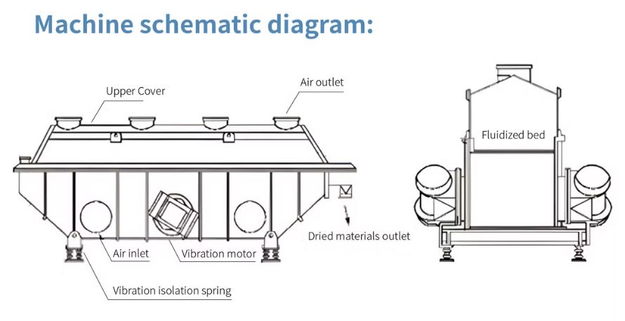 Continuous Fluid Bed Dryer